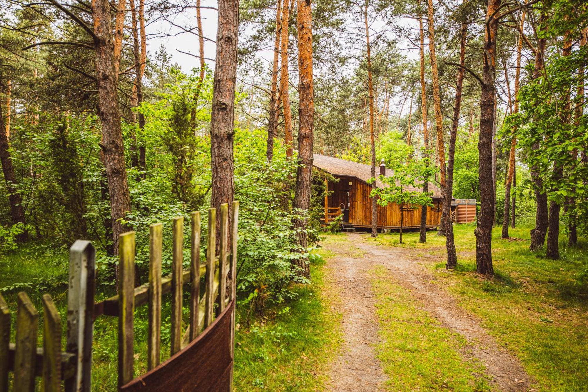 Cozy Nature Retreat With Patio Fireplace Garden Chalet *