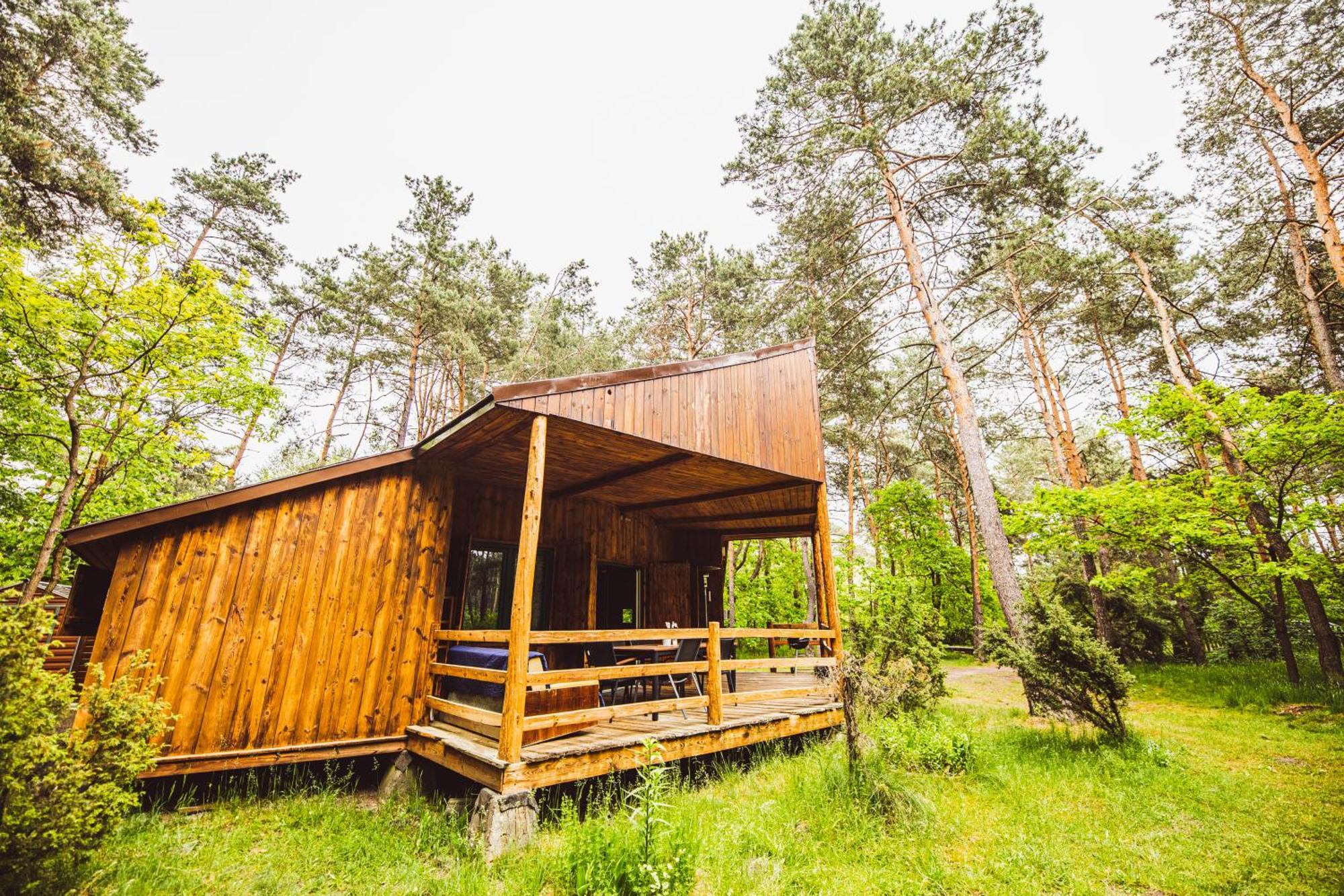 Cozy Nature Retreat With Patio Fireplace Garden Maciejowice