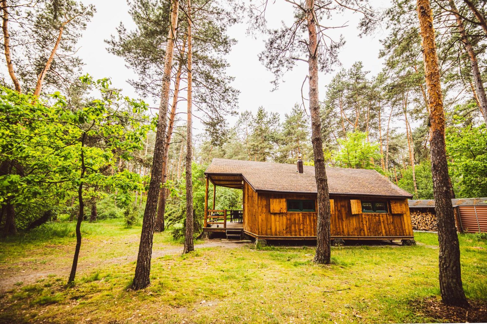 Cozy Nature Retreat With Patio Fireplace Garden Maciejowice