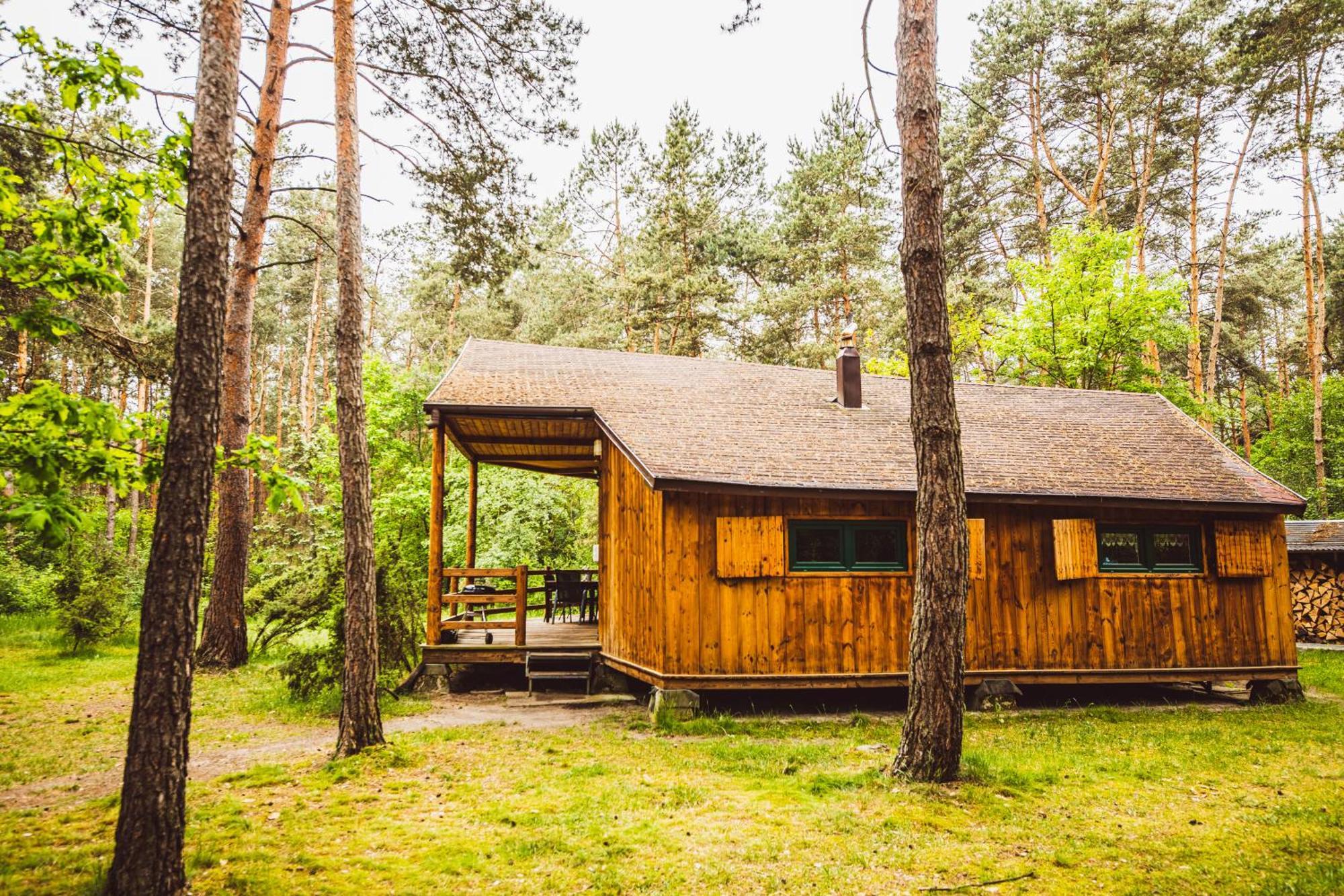 Cozy Nature Retreat With Patio Fireplace Garden Chalet *