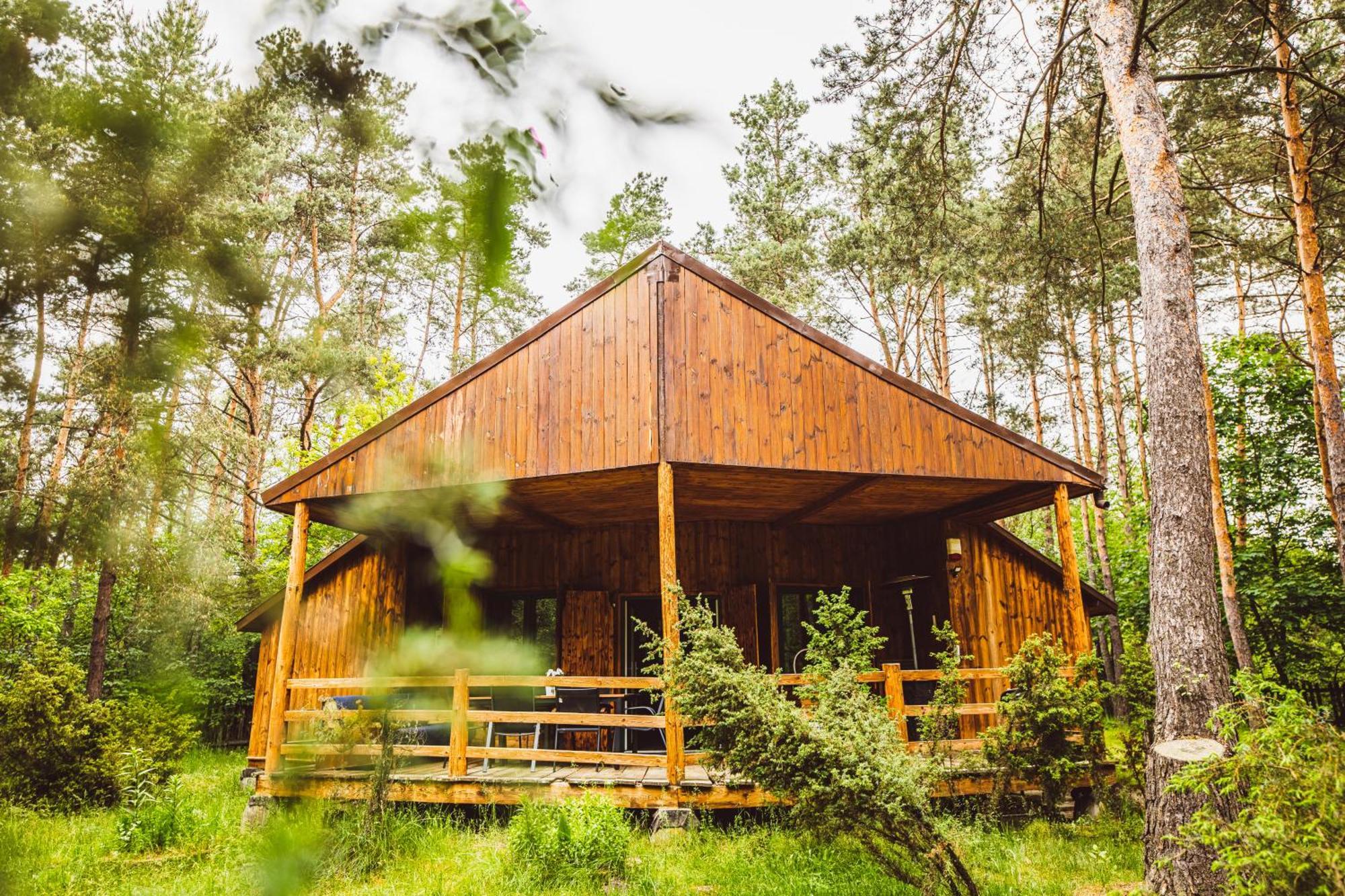 Cozy Nature Retreat With Patio Fireplace Garden Chalet