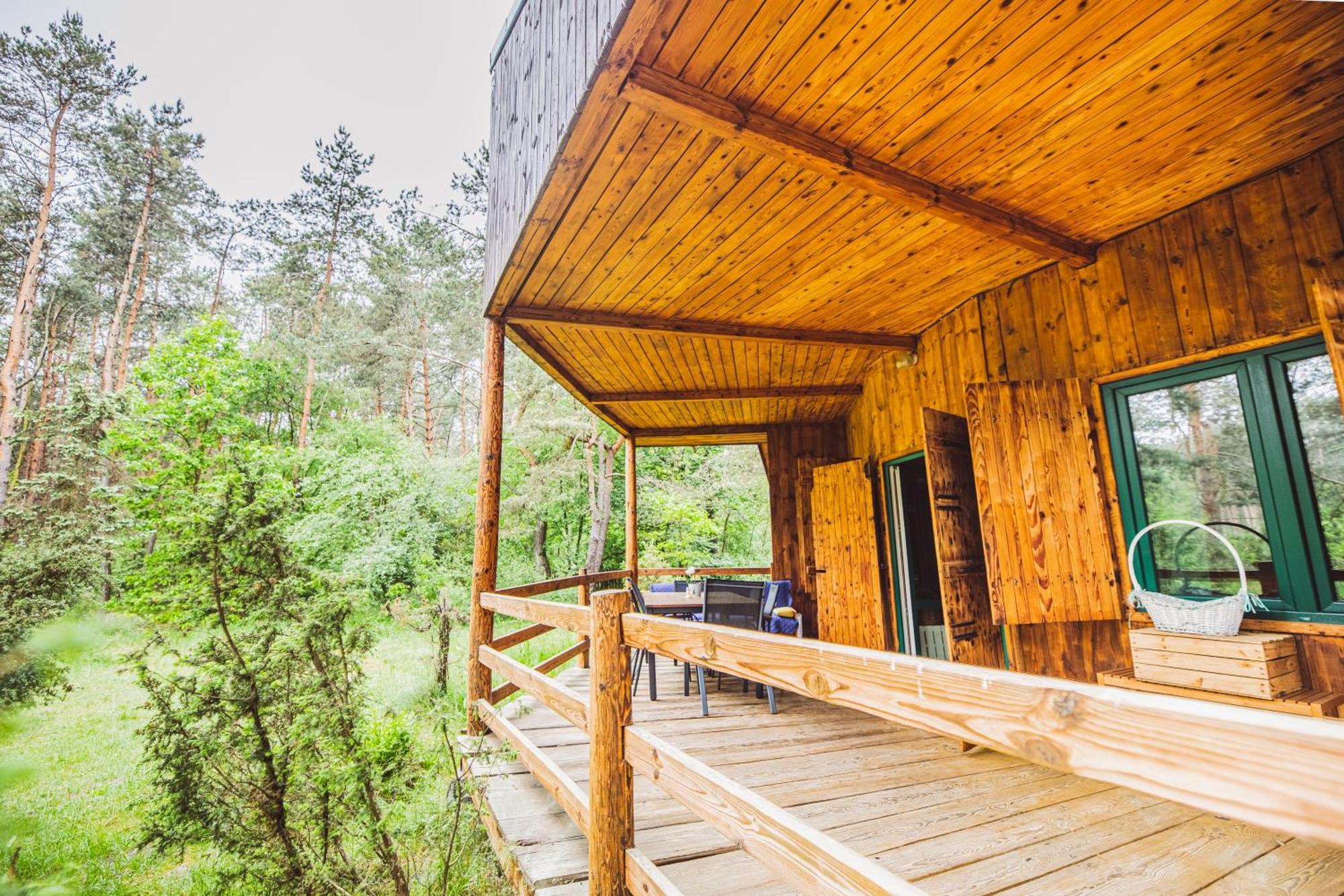 Cozy Nature Retreat With Patio Fireplace Garden Maciejowice
