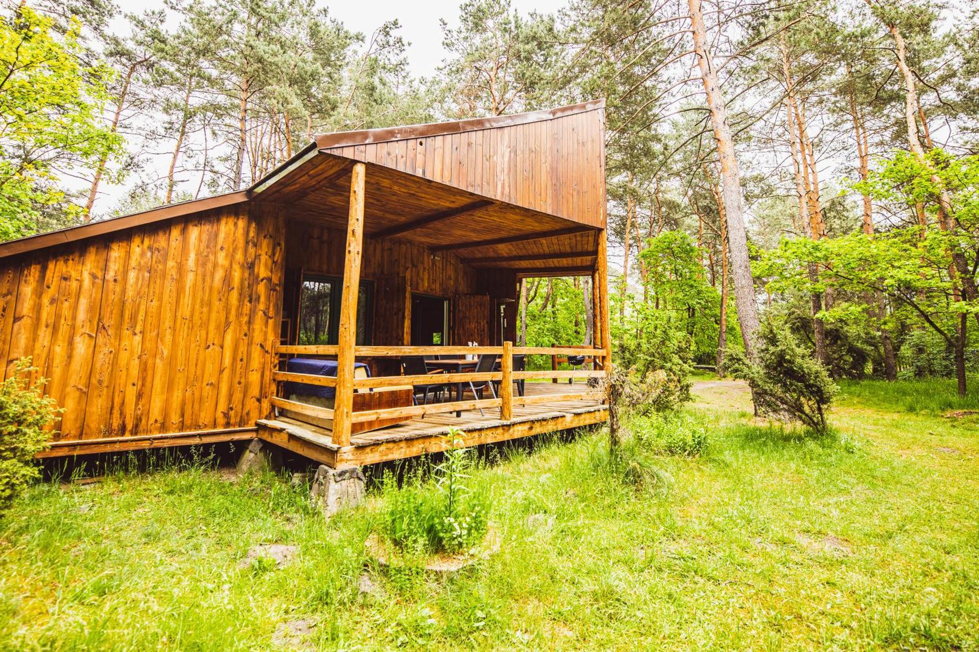 Cozy Nature Retreat With Patio Fireplace Garden Chalet Maciejowice